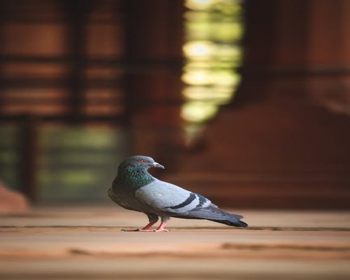 Portrait of K. Maliwan